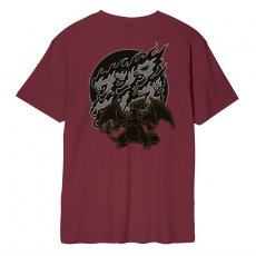 triko SANTA CRUZ - Pokemon Fire Type 3 T-Shirt Maroon (MAROON)